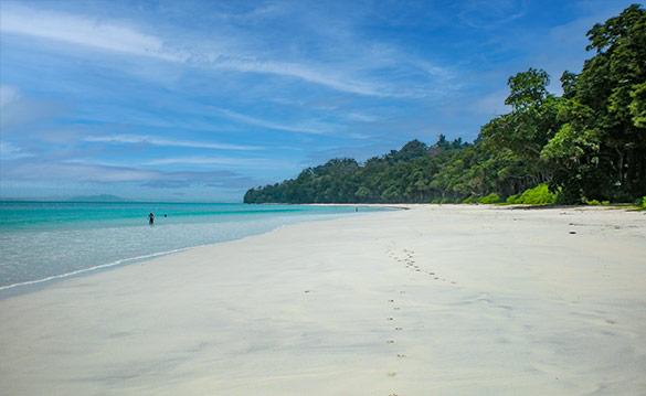 Strand på Andamanerna