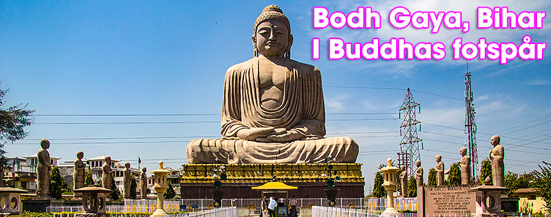 By Andrew Moore from Johannesburg, South Africa - Giant Buddha, CC BY-SA 2.0, ht
