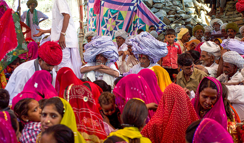 Jätteturbaner i Rajasthan
