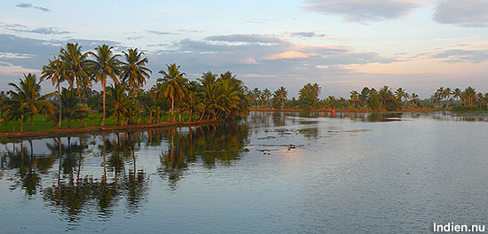 Backwater i Kerala