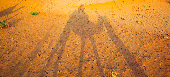 Indiens starka sol Indiens starka sol