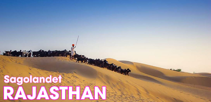 Rajasthan, Indien