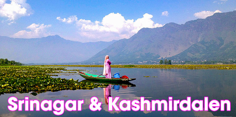Srinagar & Kashmirdalen