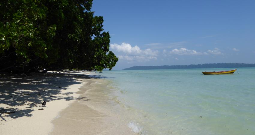 Andamanerna 2015/2016