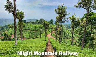 Nilgiri Mountain Railway 
