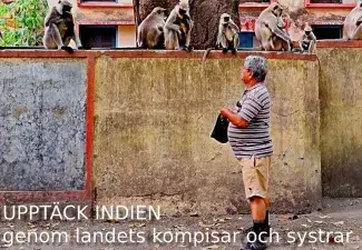 Ett personligare Indien med Paryatan Mitra och Paryatan Didi