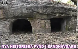 Uråldriga grottor och tempel funna i den indiska djungeln