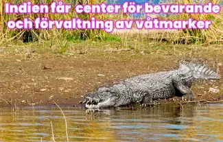 Indien får sitt första centrum för bevarande och förvaltning av våtmarker på Vär