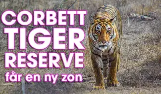 Corbett Tiger Reserve