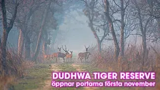 Dudhwa Tiger Reserve i Uttar Pradesh, Indien, öppnar 1 november