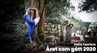 Indien året som gått 2020