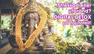 Digital Detox i Indien