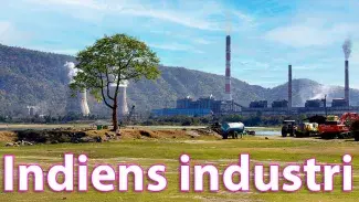Indiens industri
