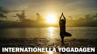 Internationella Yoga-dagen: En resa mot harmoni och hälsa