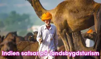 Indien satsar på landsbygdsturism