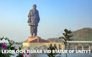 Snart kan du se lejon och tigrar i Kevadiya