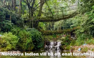 Meghalayas levande broar