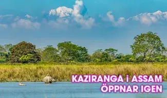 Nationalparken Kaziranga i Assam, Indien, öppnar upp för turism igen