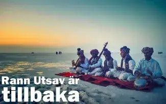 Rann Utsav är tillbaka: tältstaden i Kutchs vita saltöken öppnar 1 november