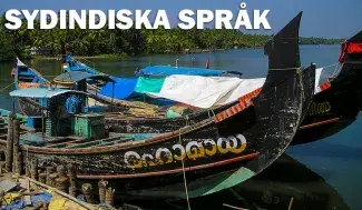 Sydindiska eller dravidiska språk