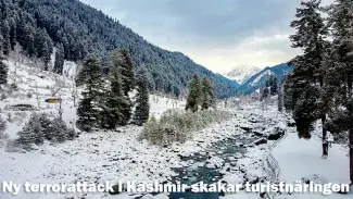 Ny terrorattack i Kashmir skakar turistnäringen